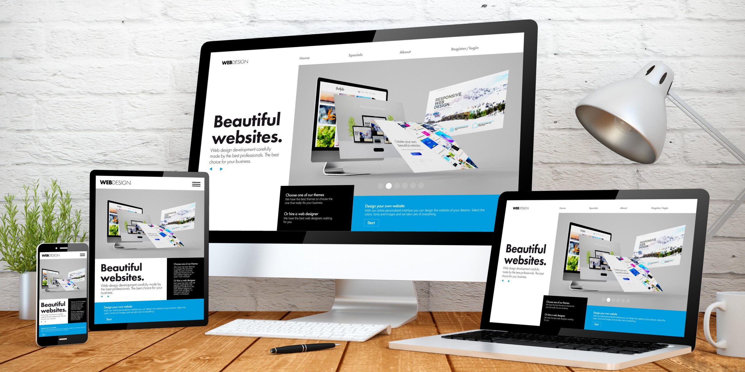 Website design Service